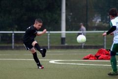 DSC02759_bearb