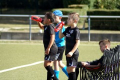 DSC03909_bearb
